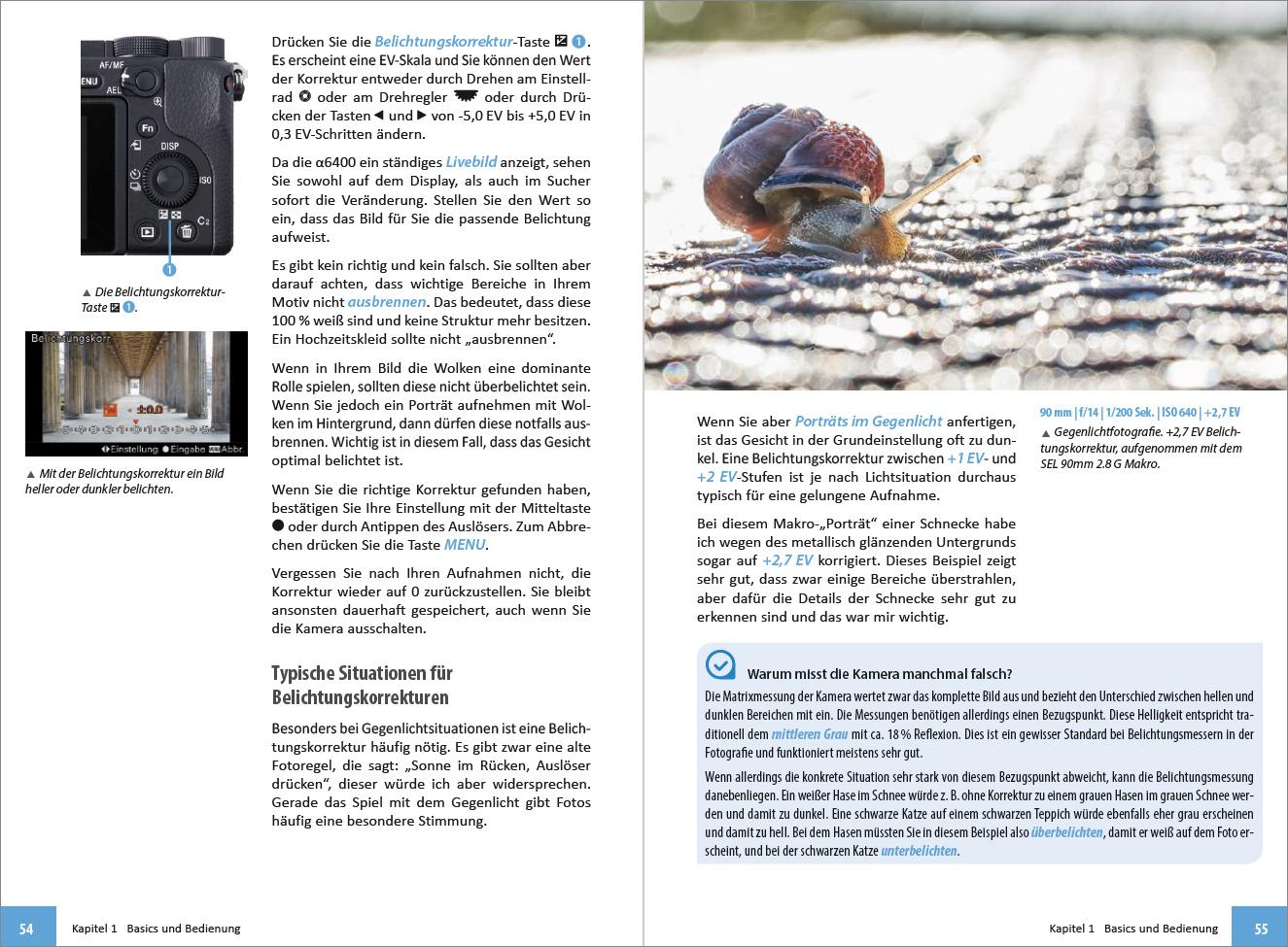 Beispielinhalt (Bild) Sony A6400