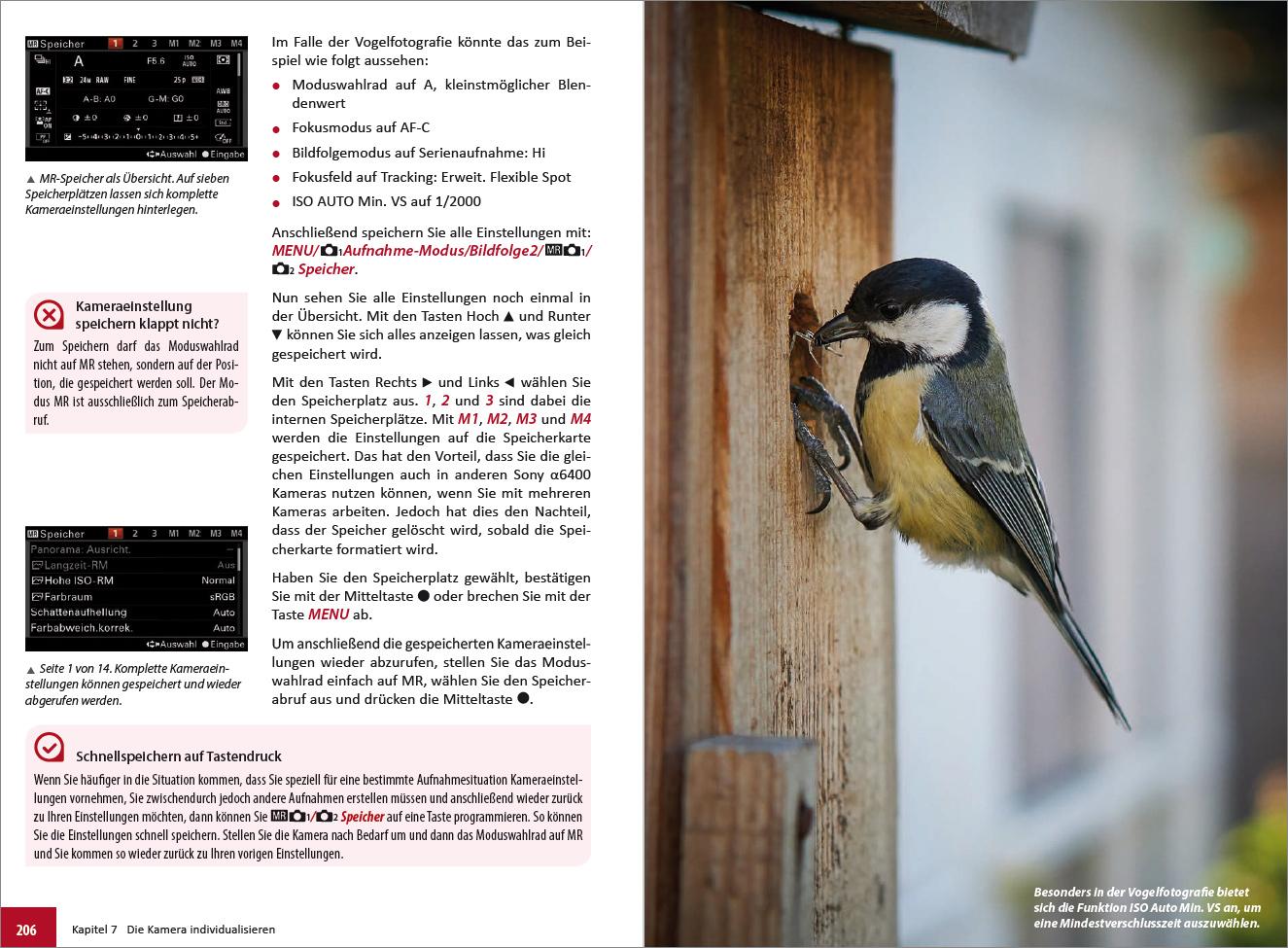 Beispielinhalt (Bild) Sony A6400