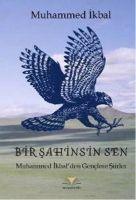 Vorderes Coverbild Bir Sahinsin Sen