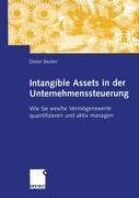 Vorderes Coverbild Intangible Assets in der Unternehmenssteuerung