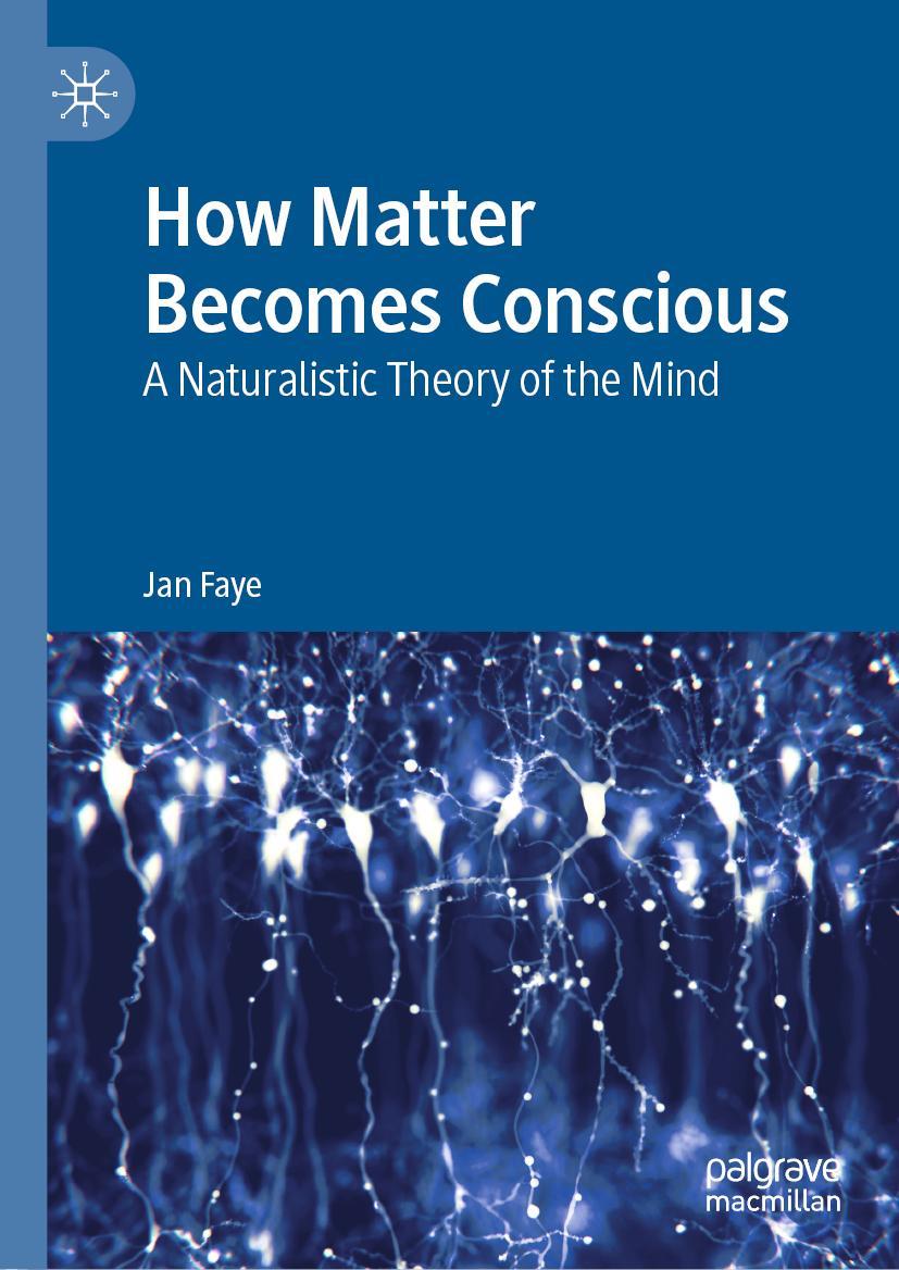 Vorderes Coverbild How Matter Becomes Conscious