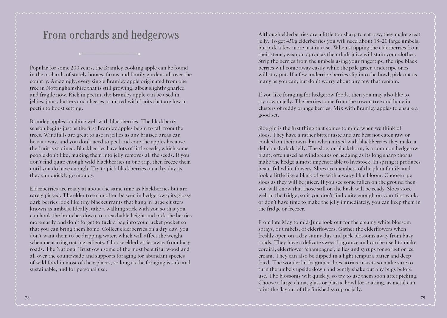 Beispielinhalt (Bild) The National Trust Book of Jam