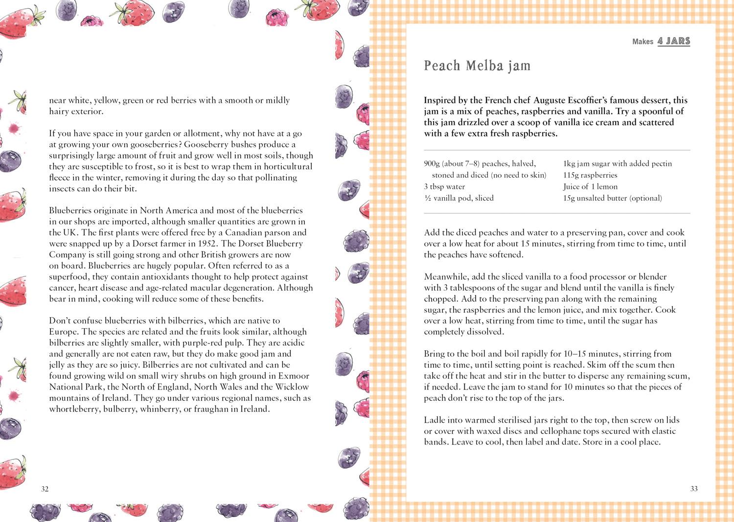 Beispielinhalt (Bild) The National Trust Book of Jam