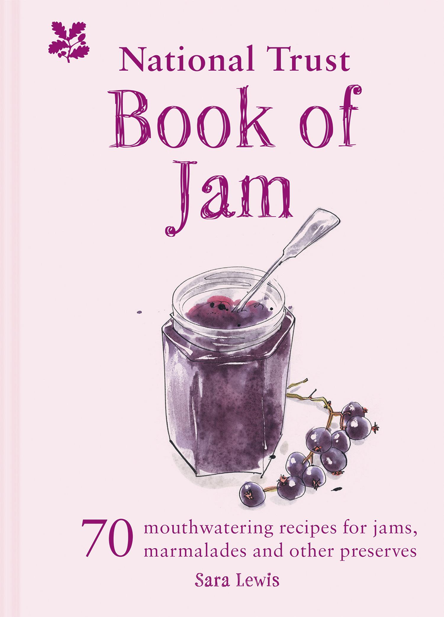 Vorderes Coverbild The National Trust Book of Jam