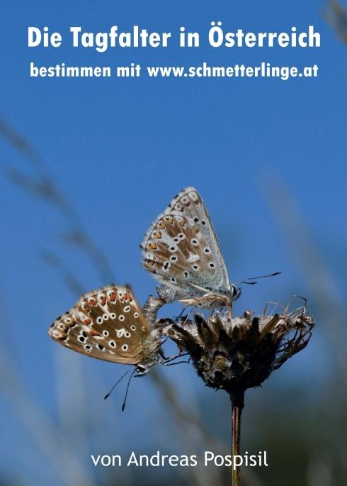 Vorderes Coverbild Die Tagfalter Österreichs bestimmen