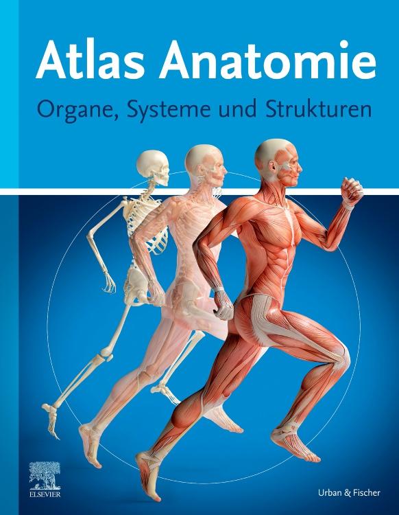 Vorderes Coverbild Atlas Anatomie