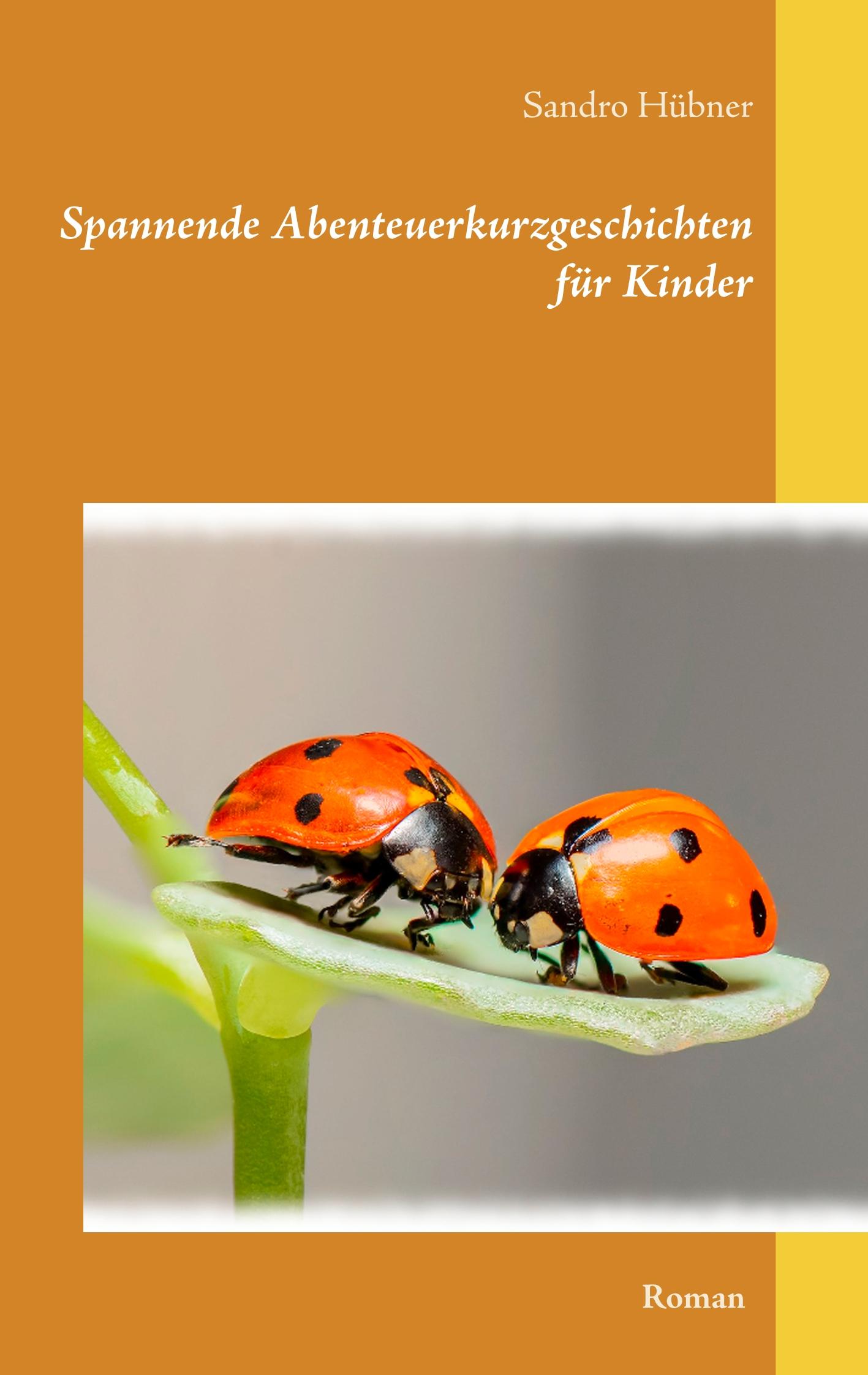 Vorderes Coverbild Spannende Abenteuerkurzgeschichten für Kinder