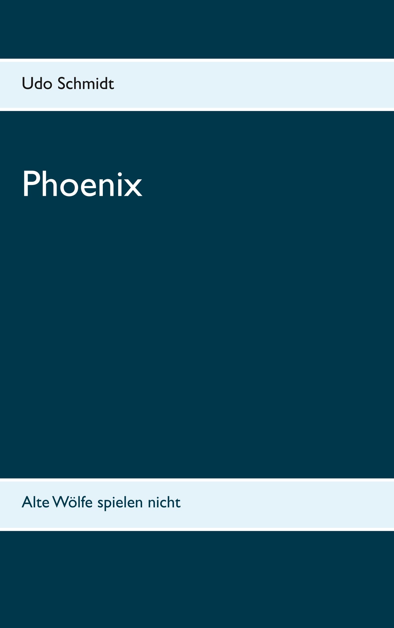 Vorderes Coverbild Phoenix
