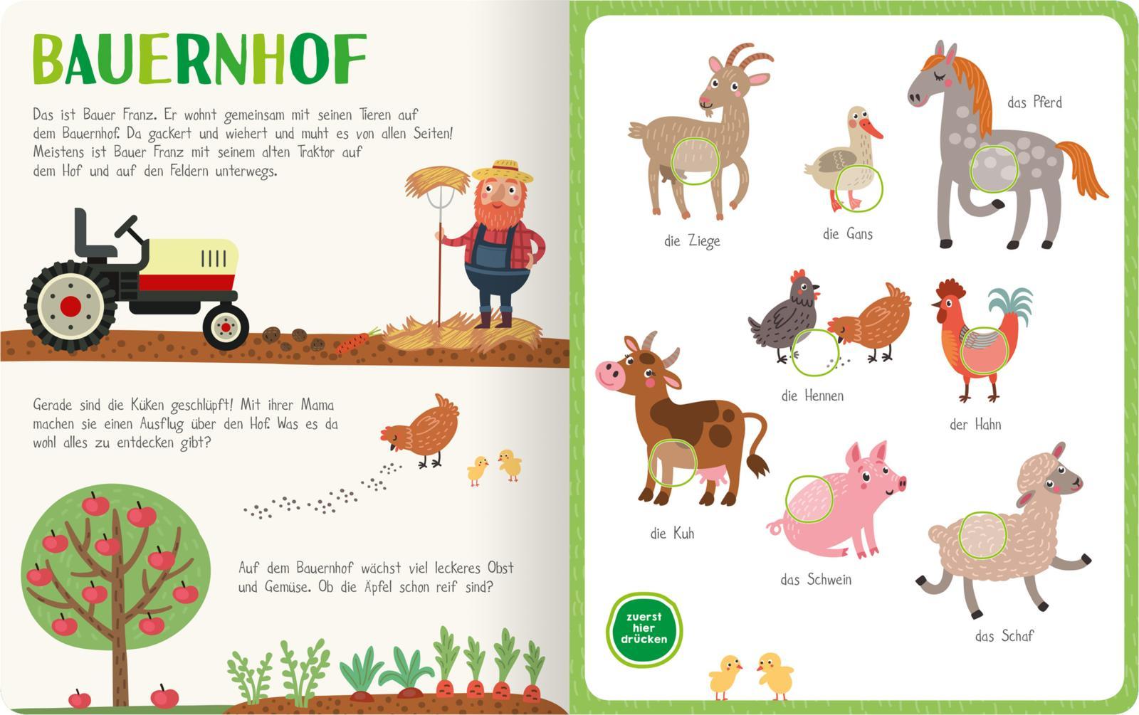 Beispielinhalt (Bild) Mein kunterbuntes Soundbuch - Tiere