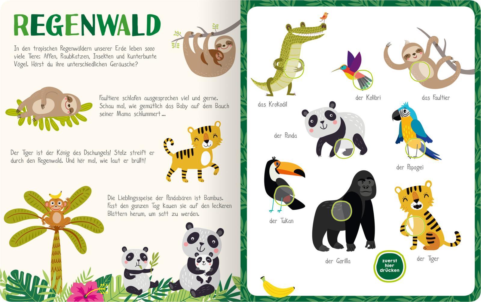 Beispielinhalt (Bild) Mein kunterbuntes Soundbuch - Tiere