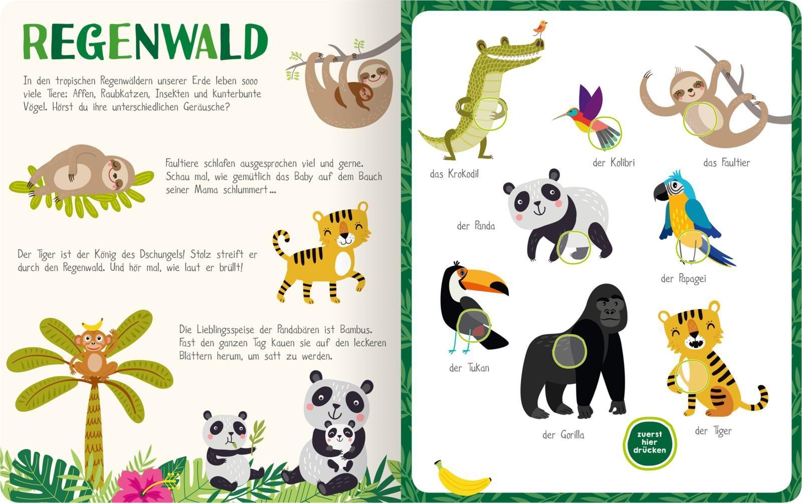 Beispielinhalt (Bild) Mein kunterbuntes Soundbuch - Tiere