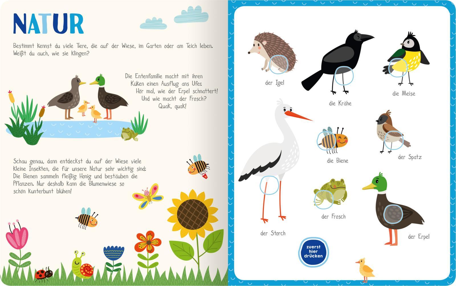 Beispielinhalt (Bild) Mein kunterbuntes Soundbuch - Tiere