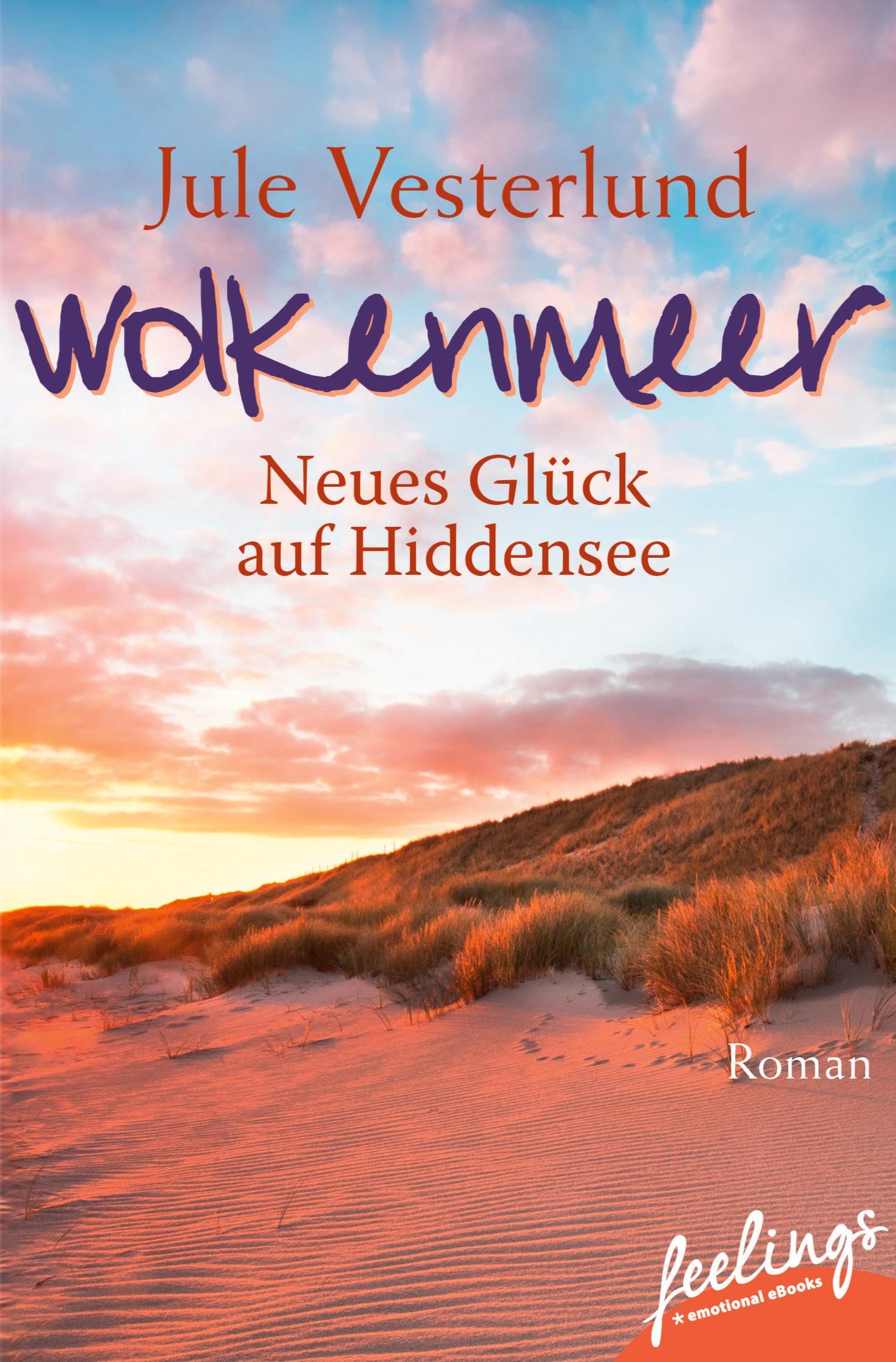 Vorderes Coverbild Wolkenmeer - Neues Glück auf Hiddensee