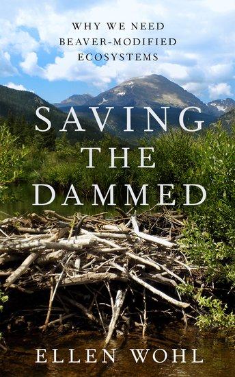 Vorderes Coverbild Saving the Dammed