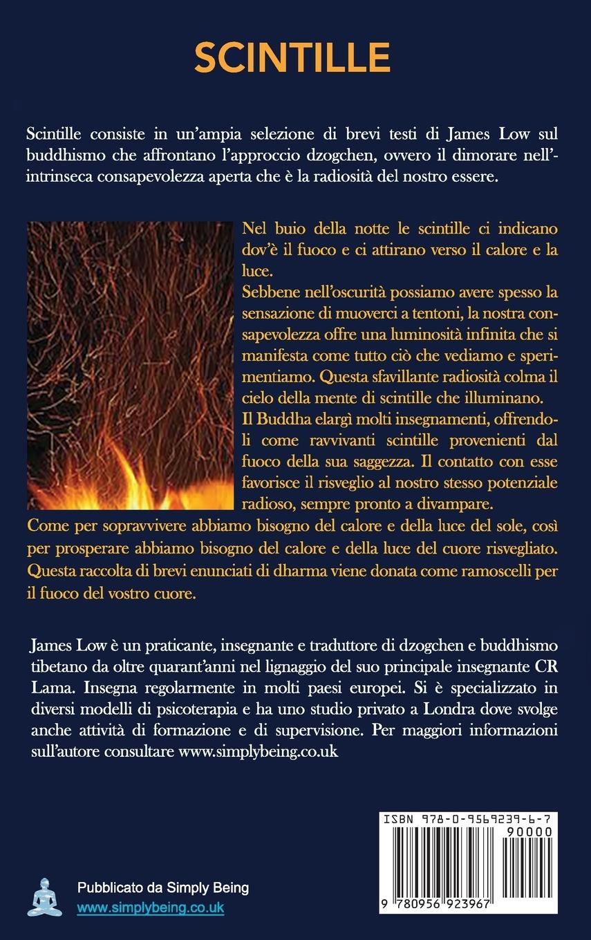 Rückseitencover Scintille
