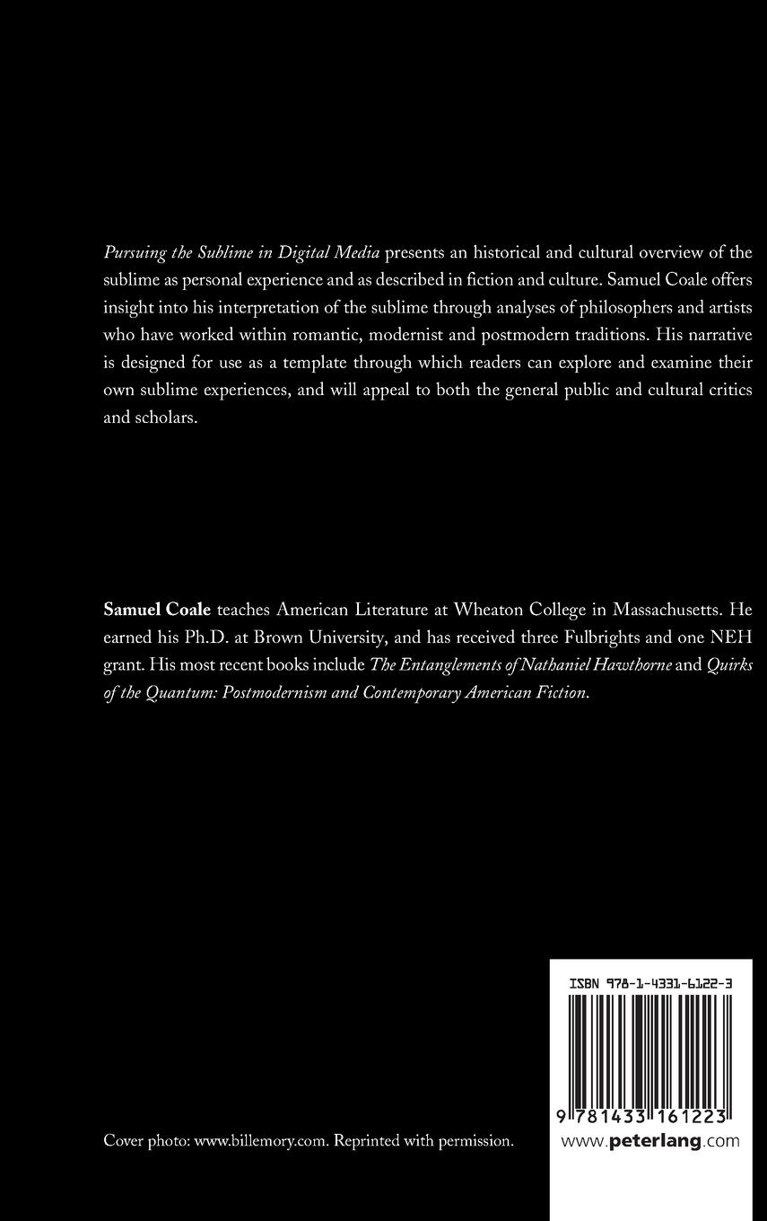 Rückseitencover Pursuing the Sublime in the Digital Age