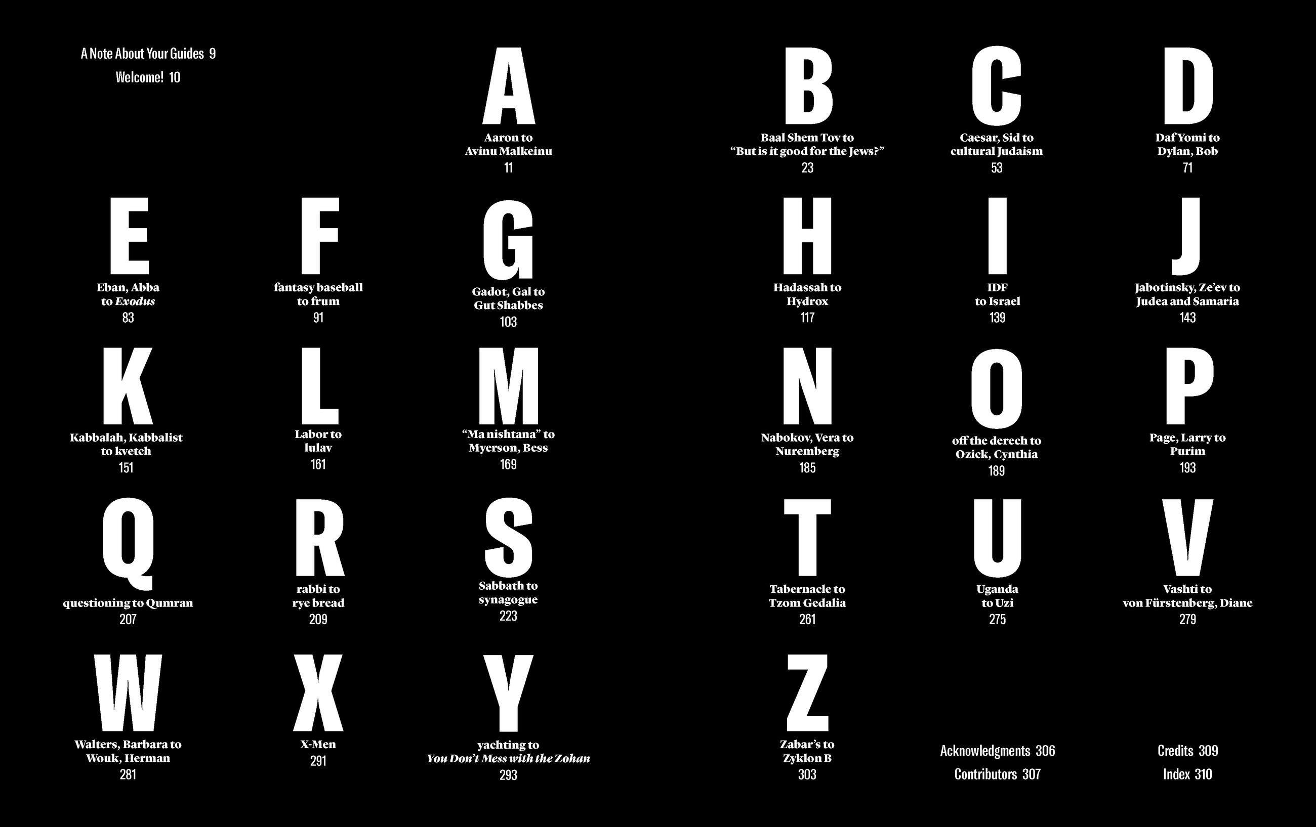 Beispielinhalt (Bild) The Newish Jewish Encyclopedia