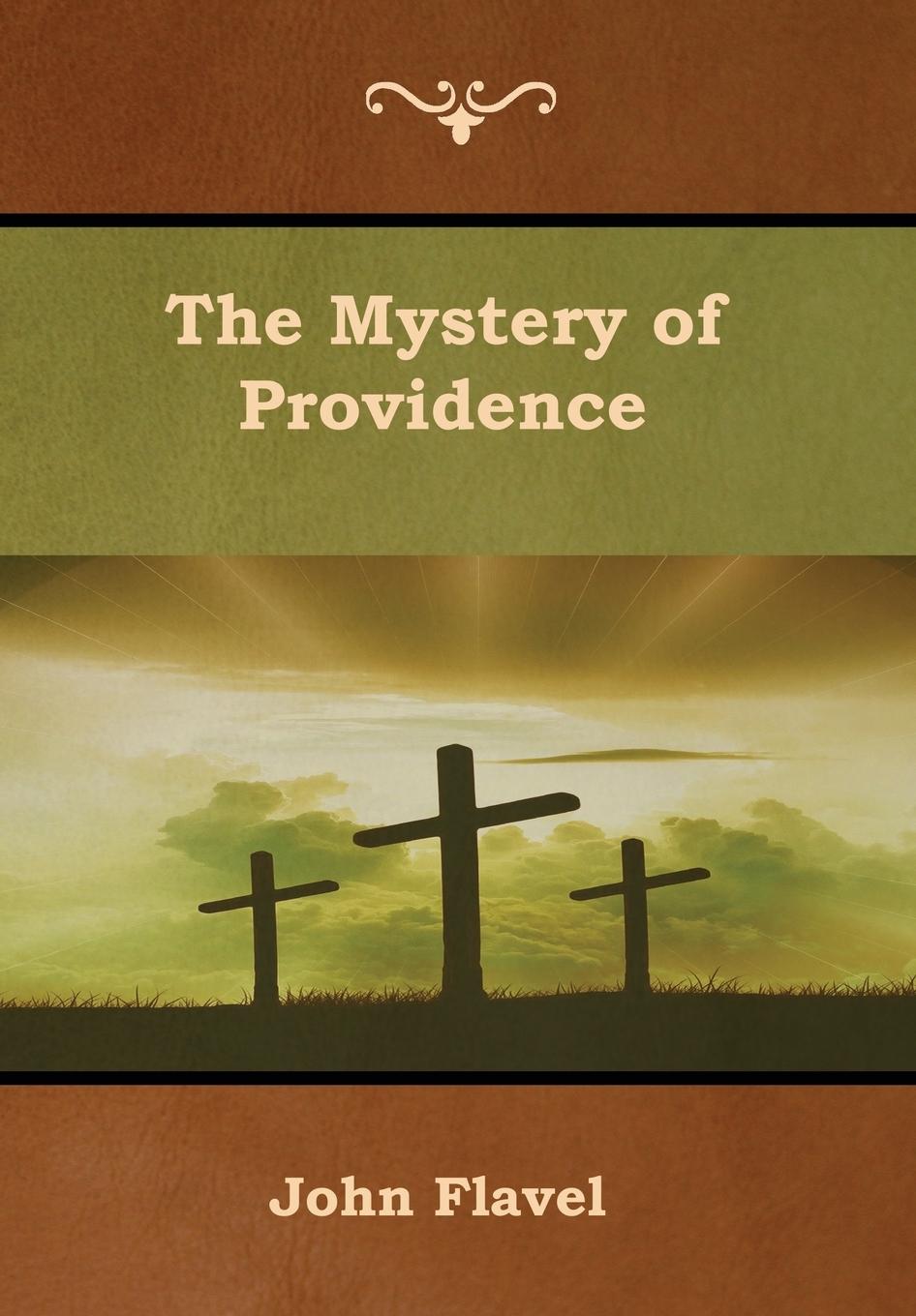 Vorderes Coverbild The Mystery of Providence