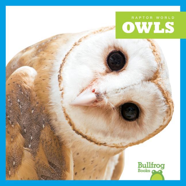 Vorderes Coverbild Owls