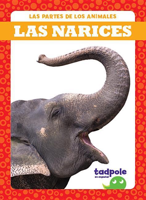 Vorderes Coverbild Las Narices (Noses)