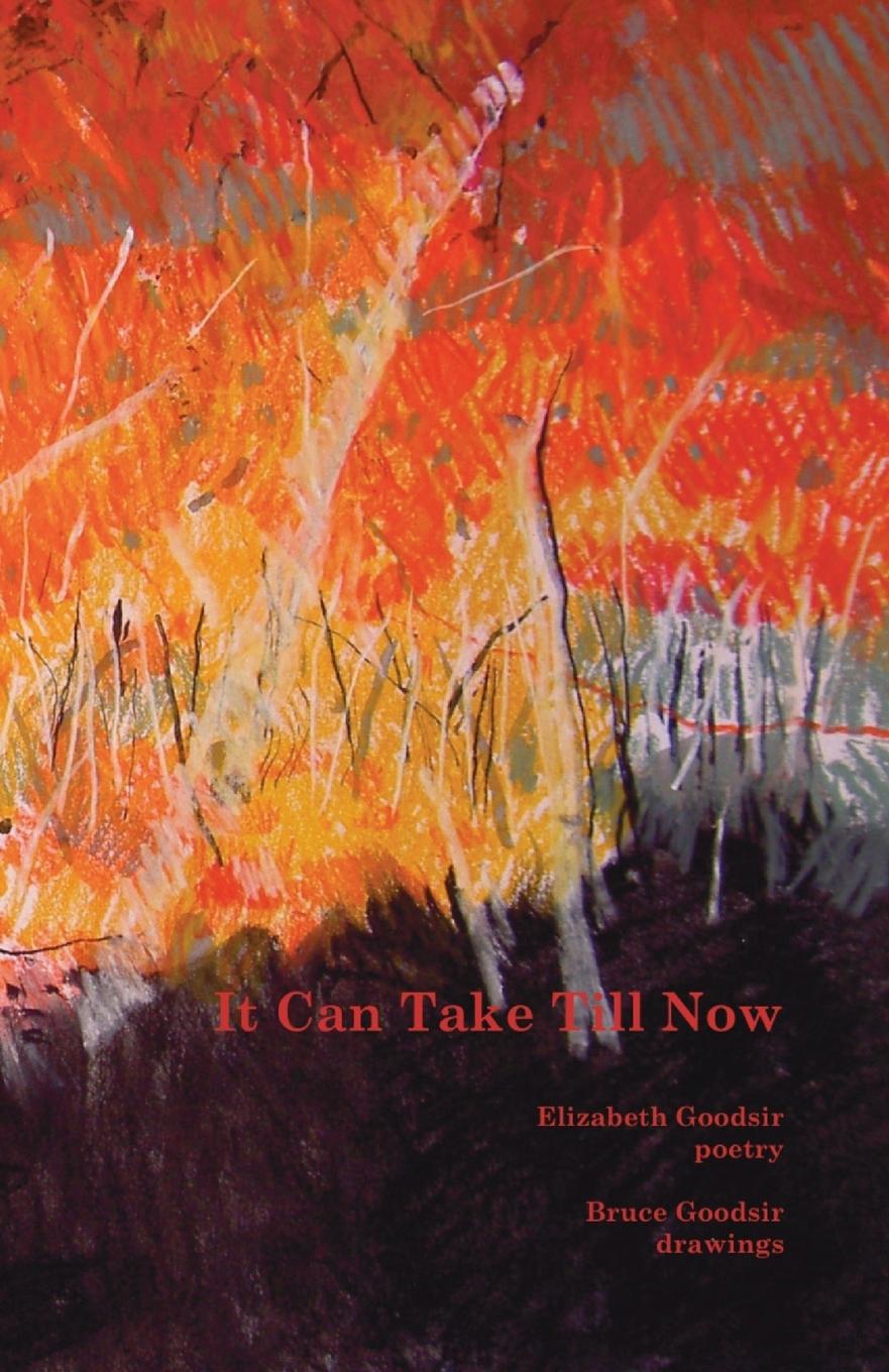 Vorderes Coverbild It Can Take Till Now