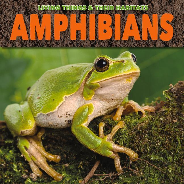 Vorderes Coverbild Amphibians