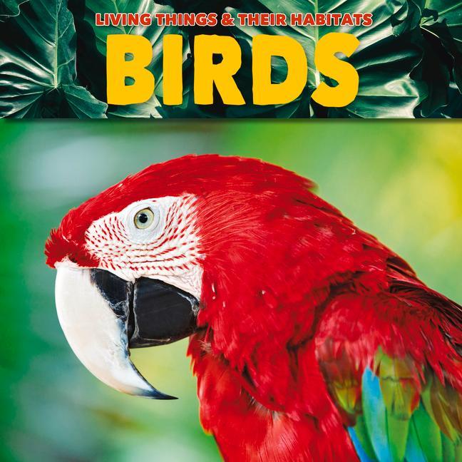 Vorderes Coverbild Birds