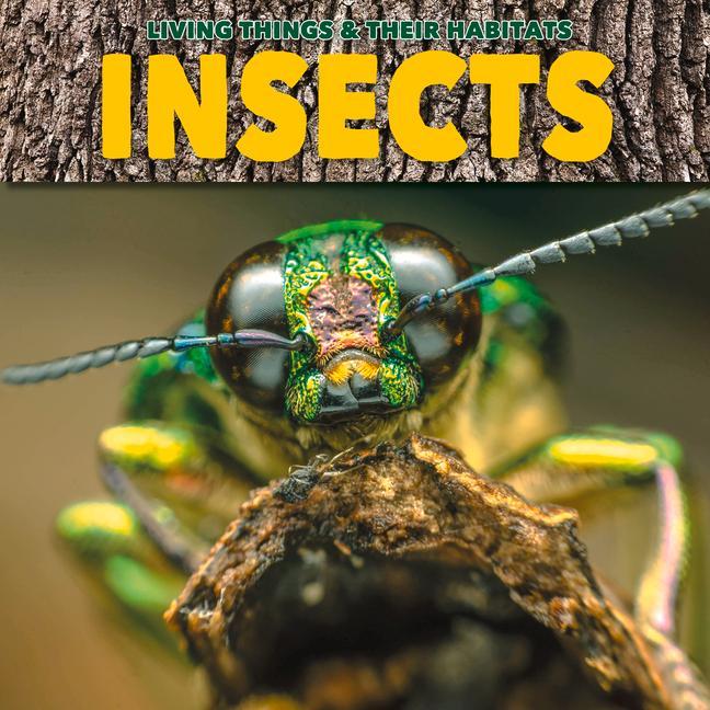 Vorderes Coverbild Insects