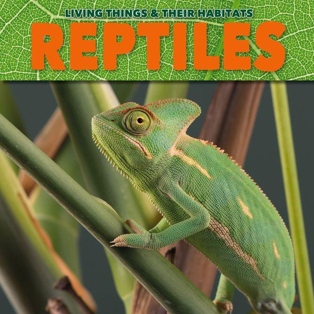 Vorderes Coverbild Reptiles