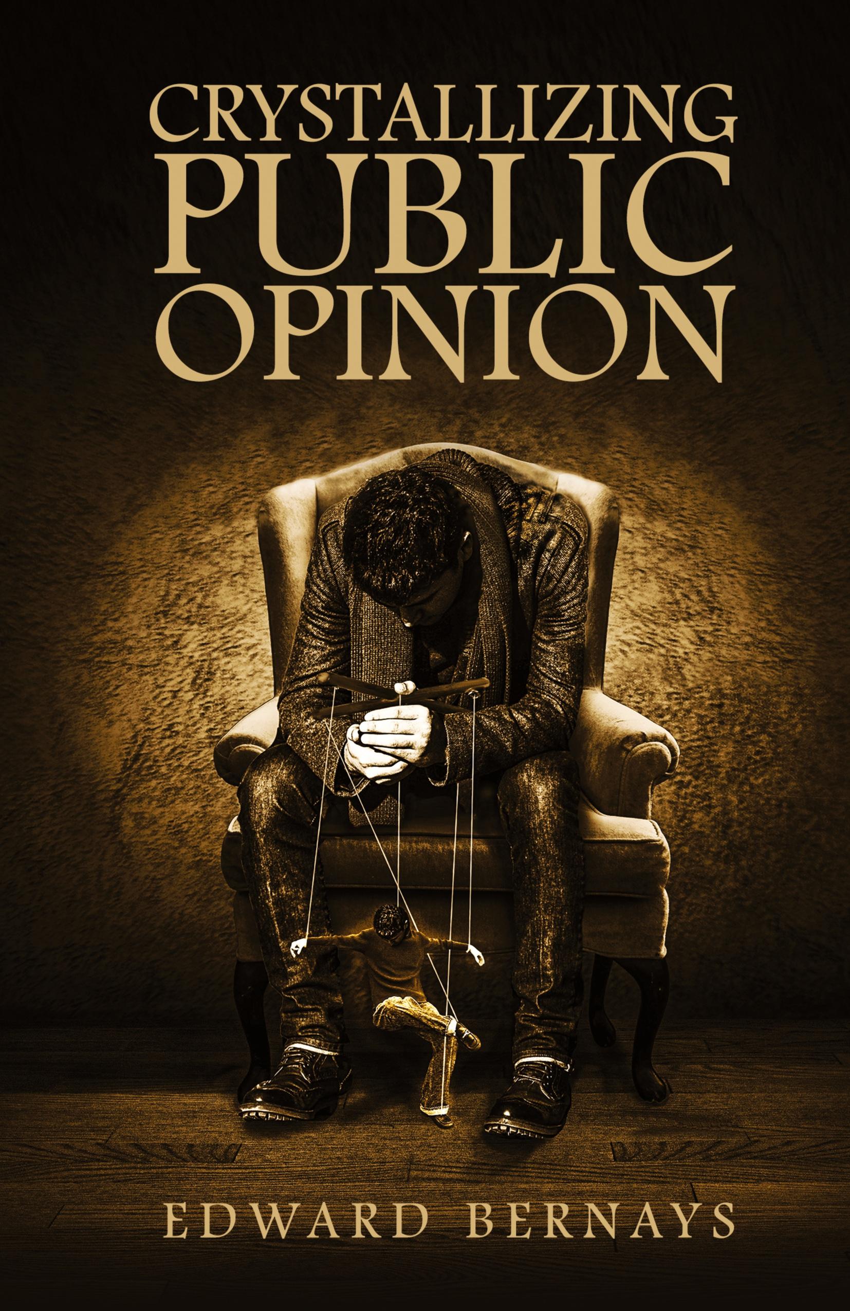 Vorderes Coverbild Crystallizing Public Opinion