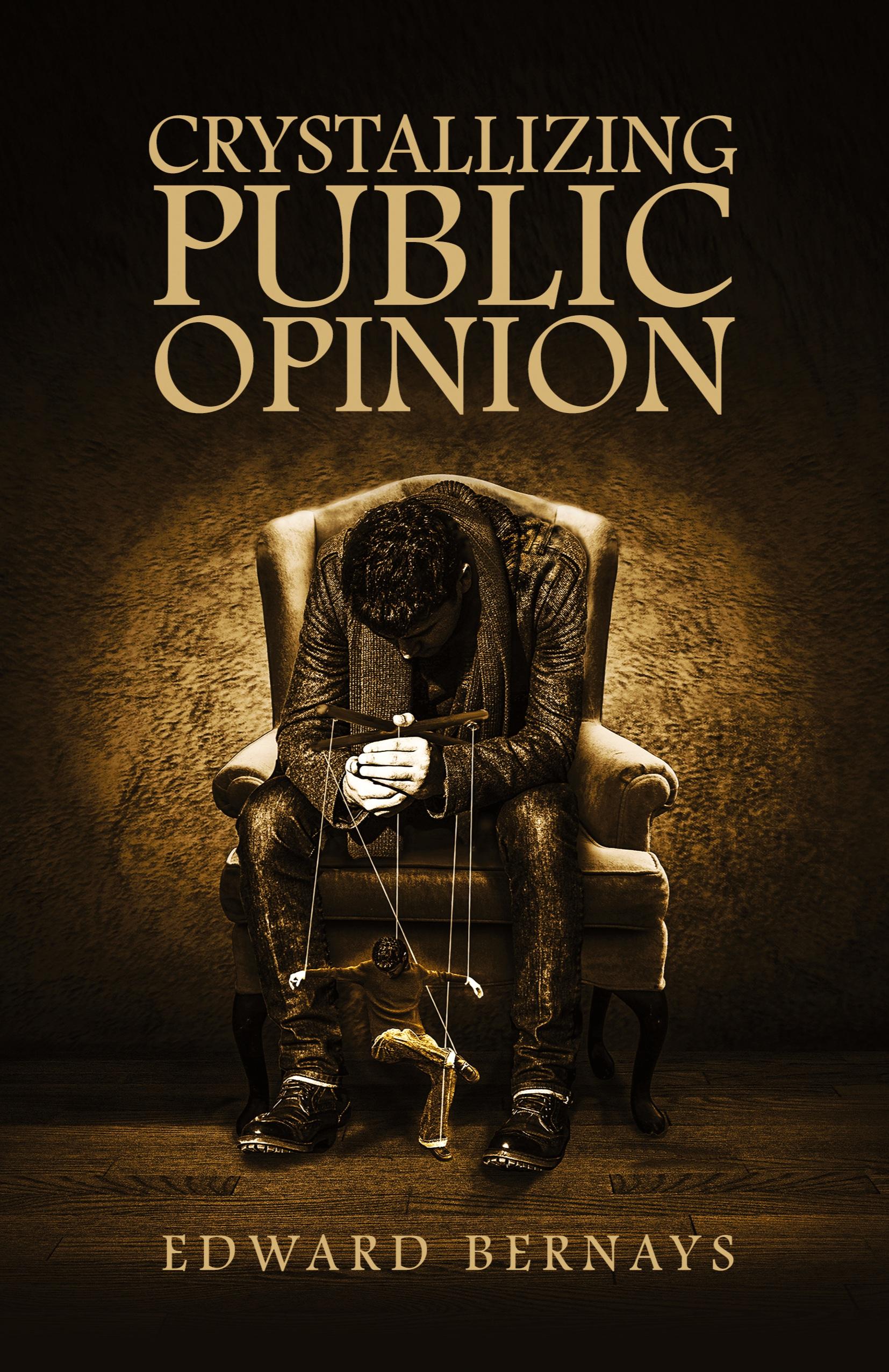 Vorderes Coverbild Crystallizing Public Opinion