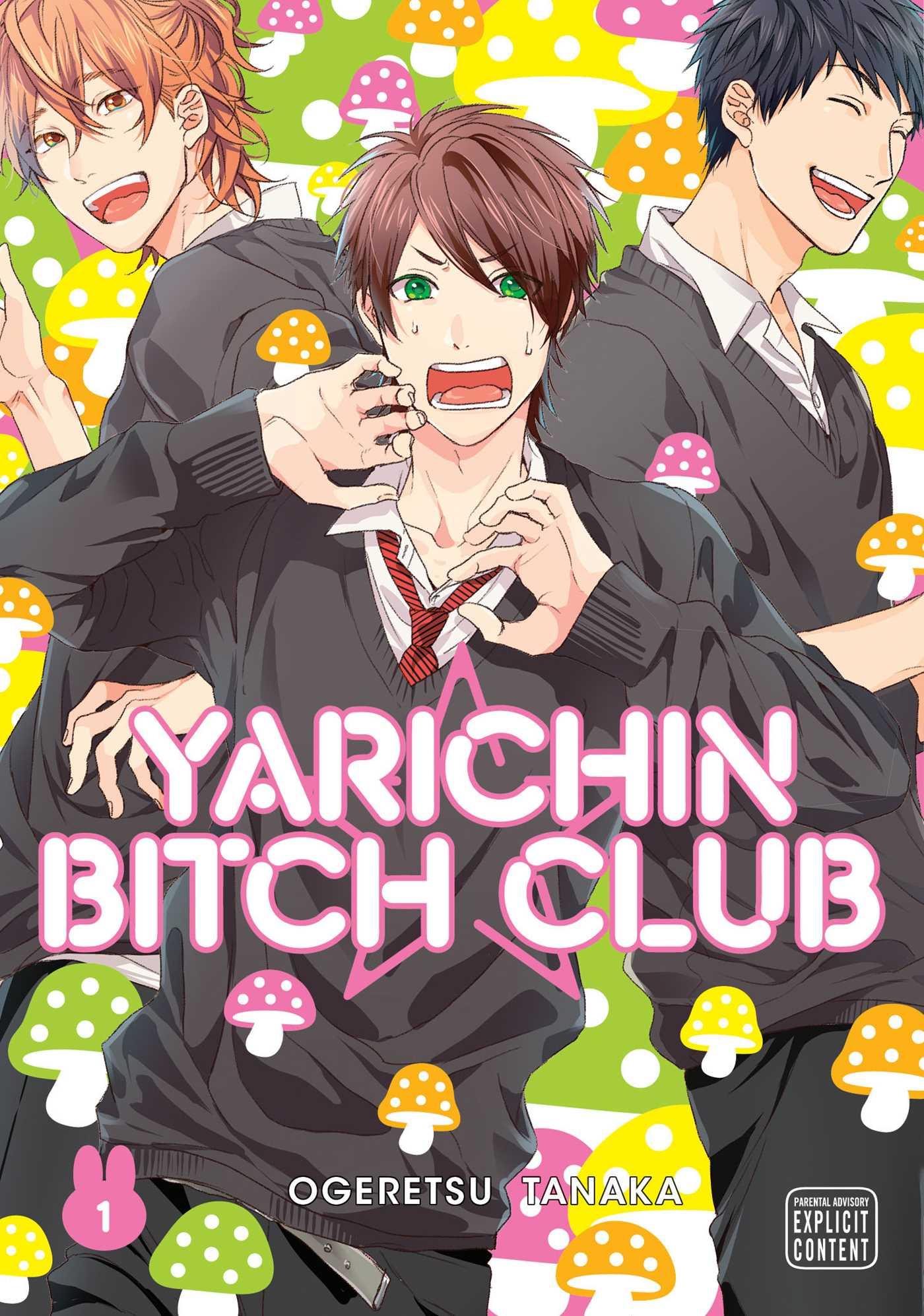 Vorderes Coverbild Yarichin Bitch Club, Vol. 1
