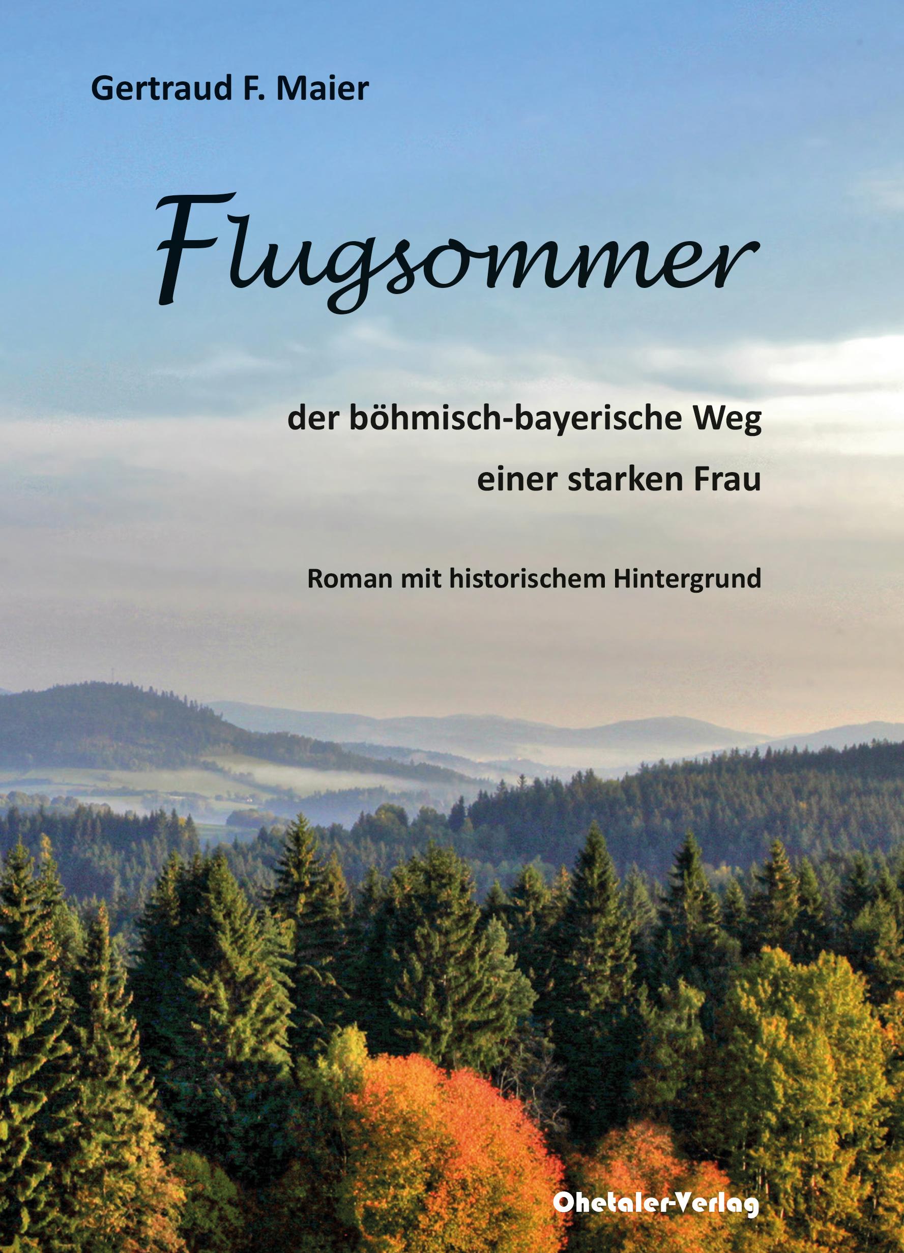 Vorderes Coverbild Flugsommer