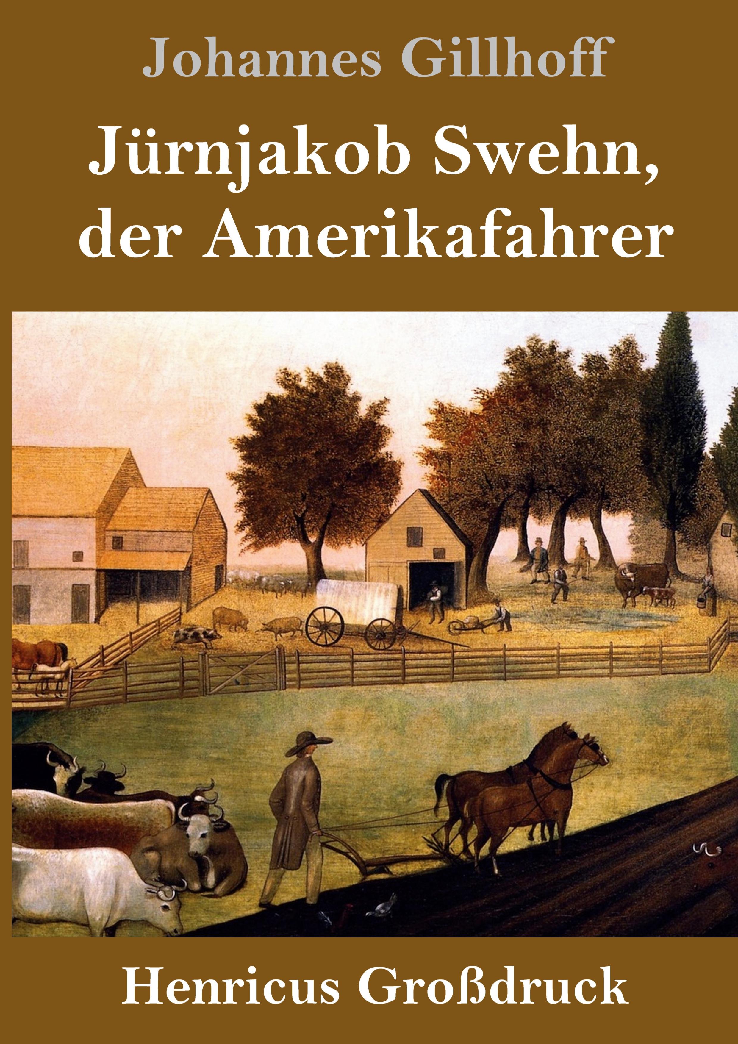Vorderes Coverbild Jürnjakob Swehn, der Amerikafahrer (Großdruck)
