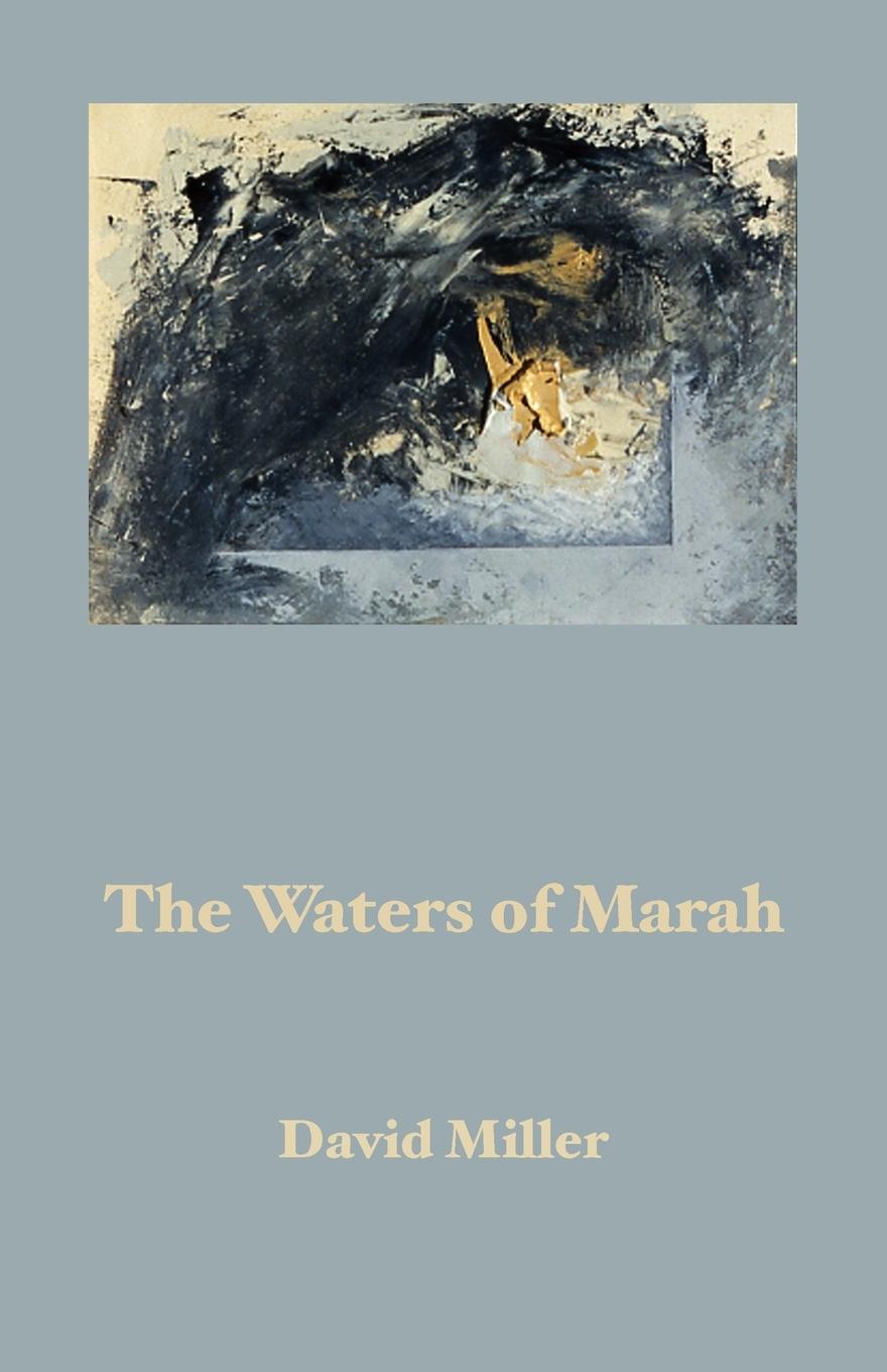 Vorderes Coverbild The Waters of Marah