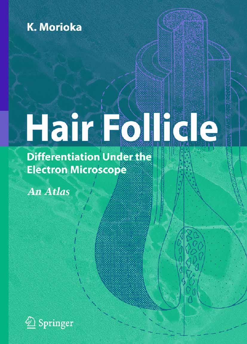 Vorderes Coverbild Hair Follicle