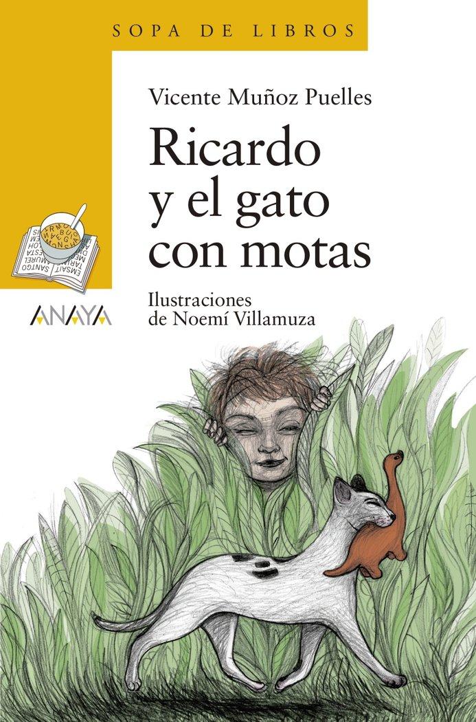 Vorderes Coverbild Ricardo y el gato con motas