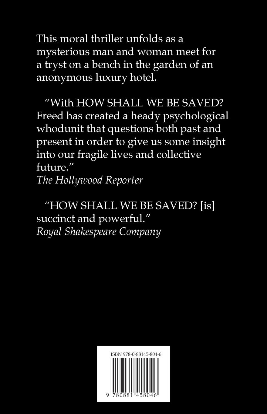 Rückseitencover How Shall We Be Saved?