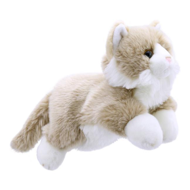 Vorderes Coverbild Full - Bodied Beige & White Cat