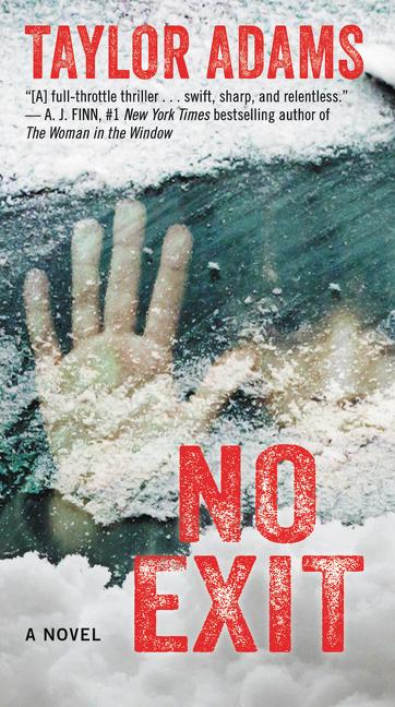 Vorderes Coverbild No Exit
