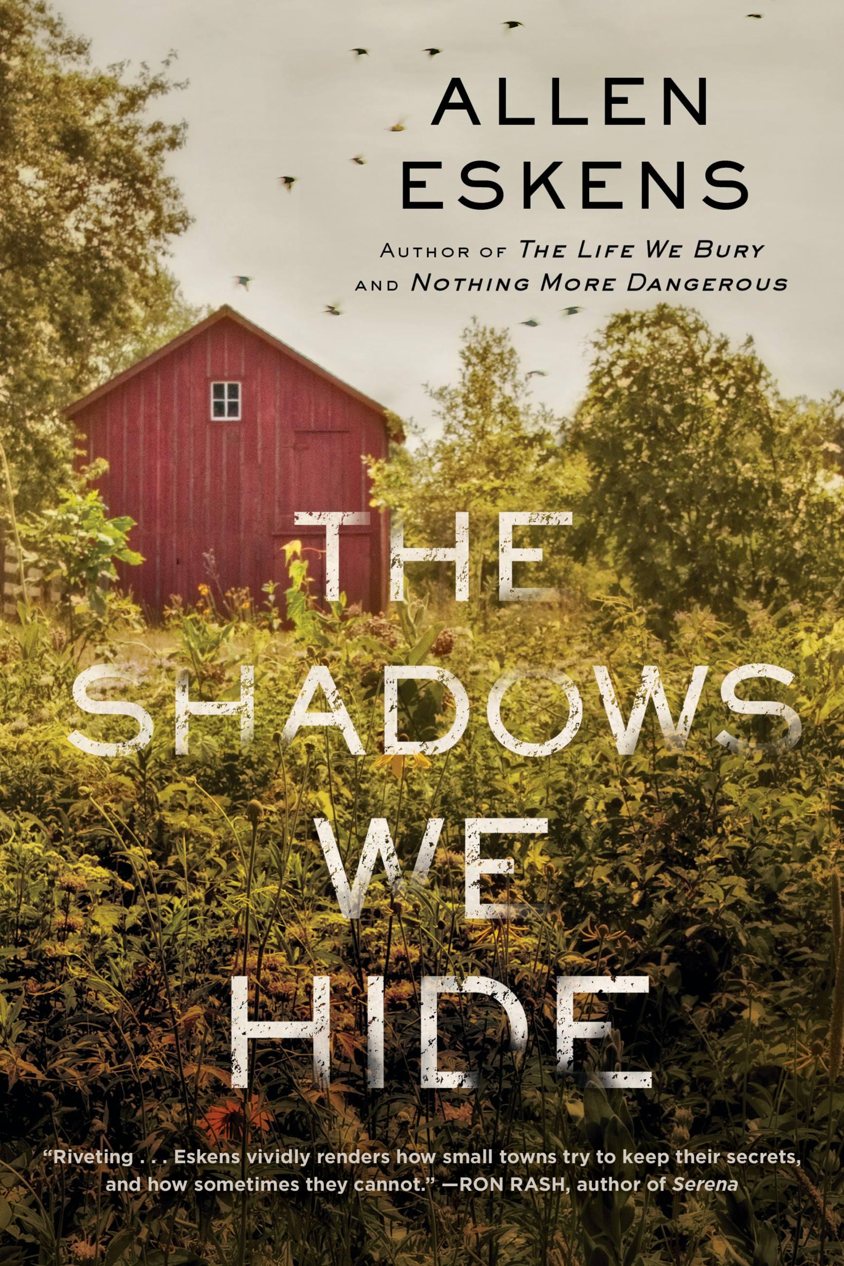 Vorderes Coverbild The Shadows We Hide