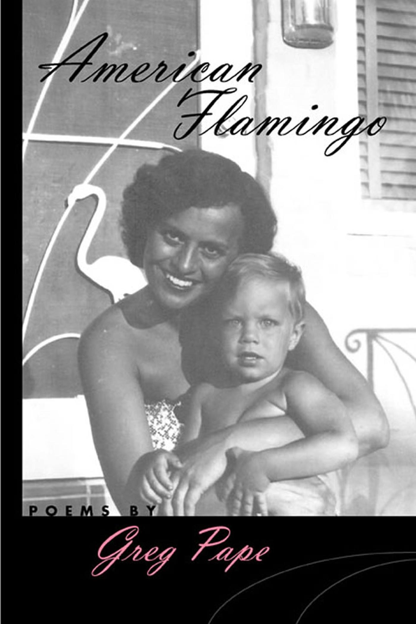 Vorderes Coverbild American Flamingo