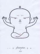 Vorderes Coverbild Fevolution