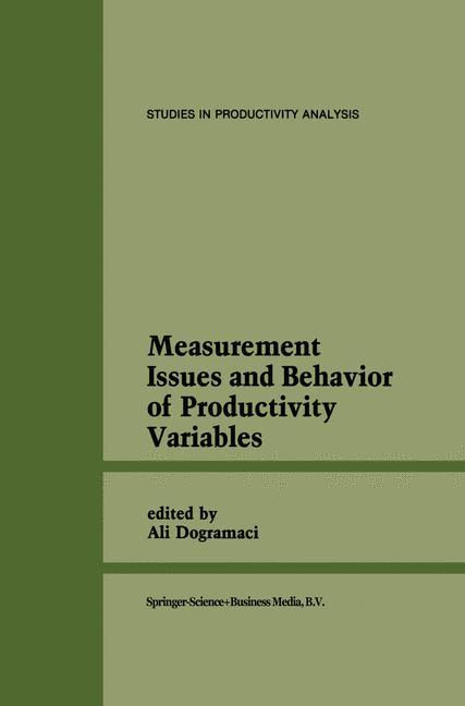 Vorderes Coverbild Measurement Issues and Behavior of Productivity Variables