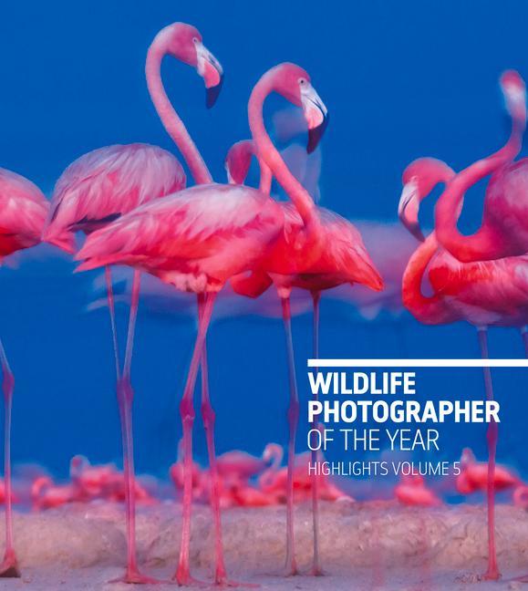 Vorderes Coverbild Wildlife Photographer of the Year: Highlights Volume 5