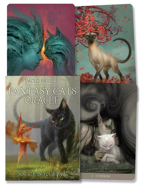 Vorderes Coverbild Barbieri Fantasy Cats Oracle