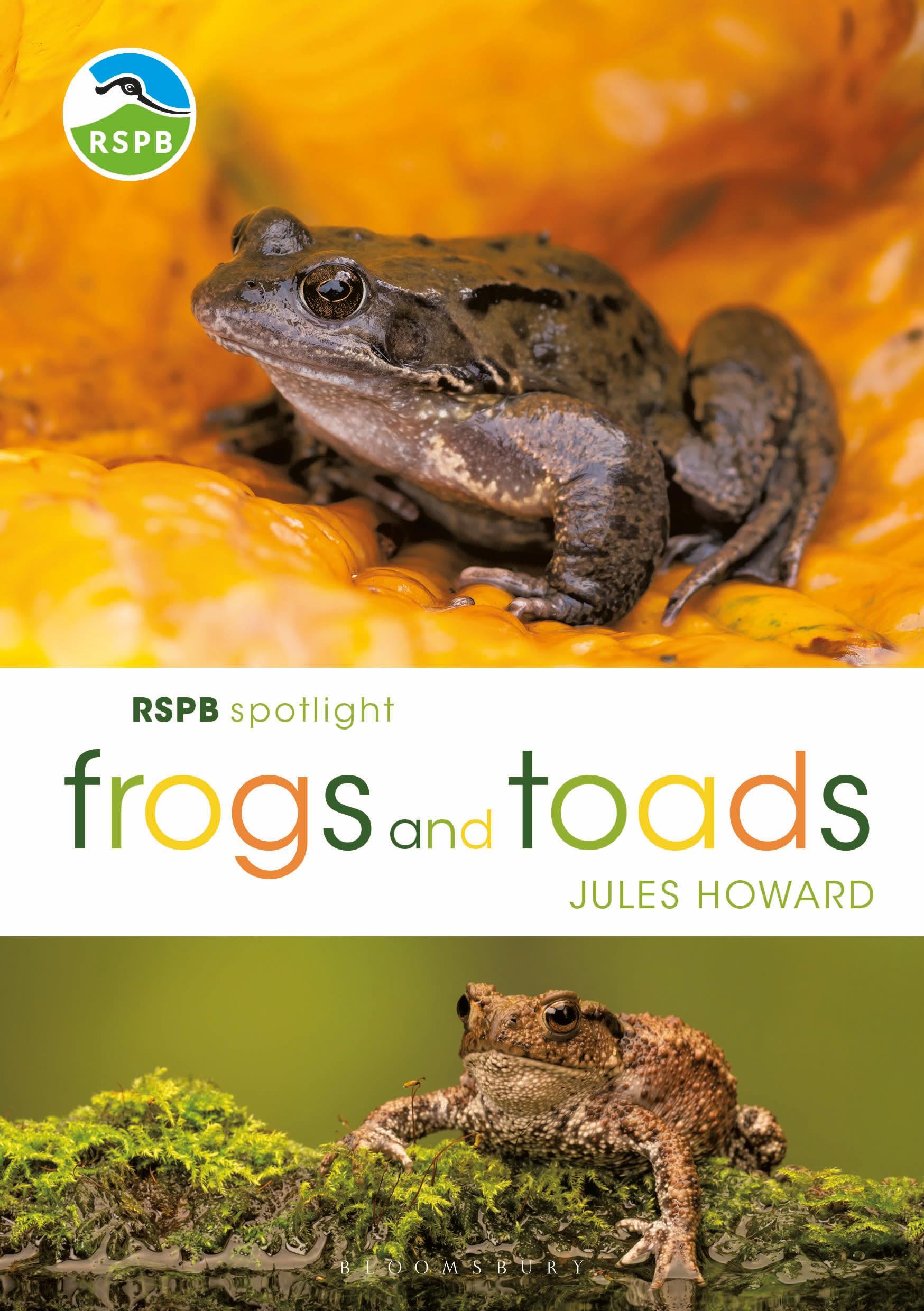 Vorderes Coverbild RSPB Spotlight Frogs and Toads