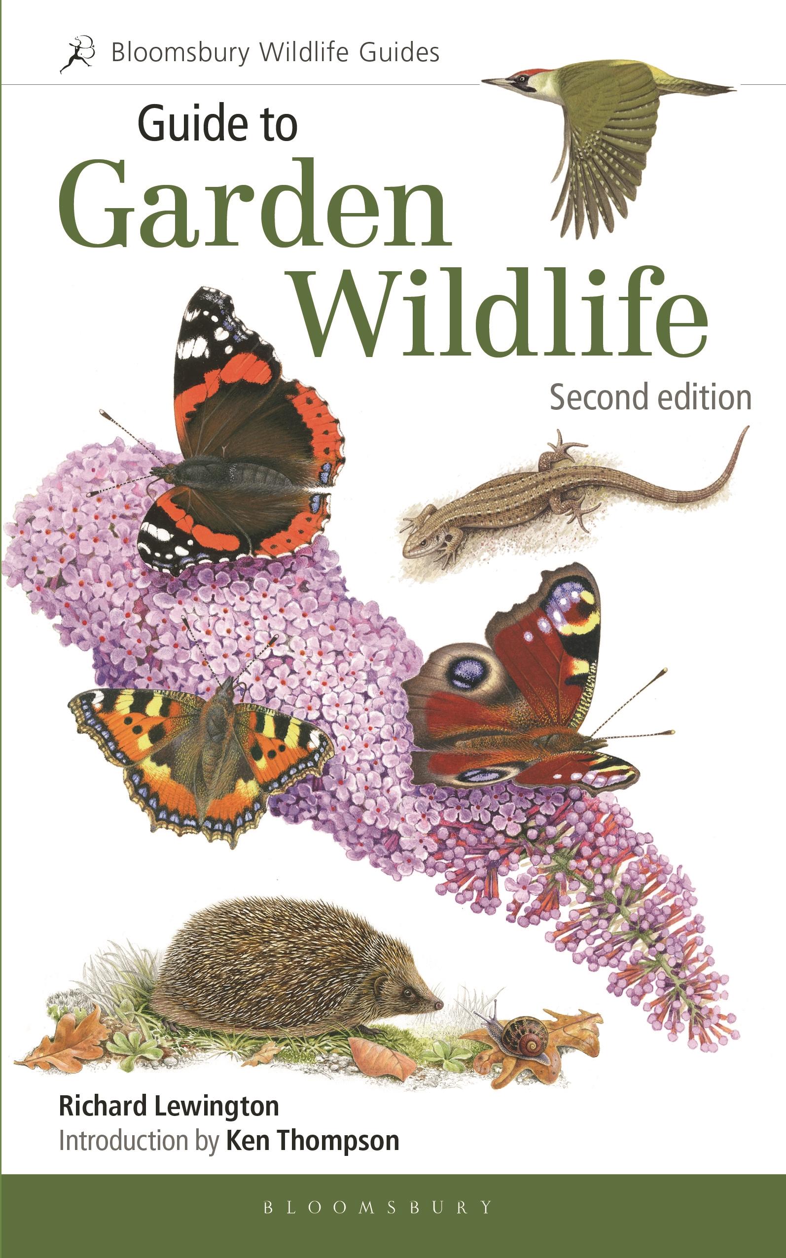 Vorderes Coverbild Guide to Garden Wildlife (2nd edition)