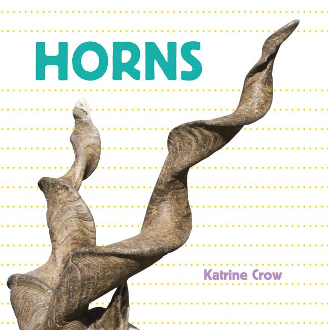 Vorderes Coverbild Horns