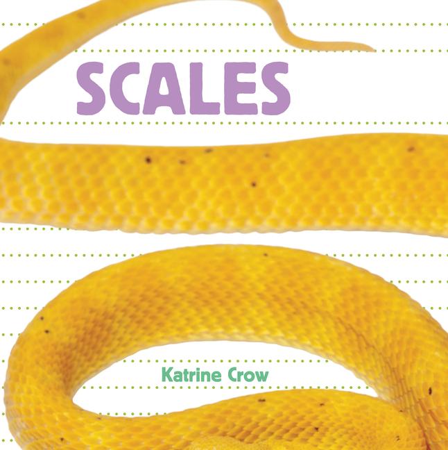 Vorderes Coverbild Scales